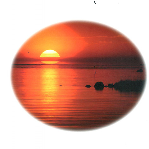 Adressi - aurinko